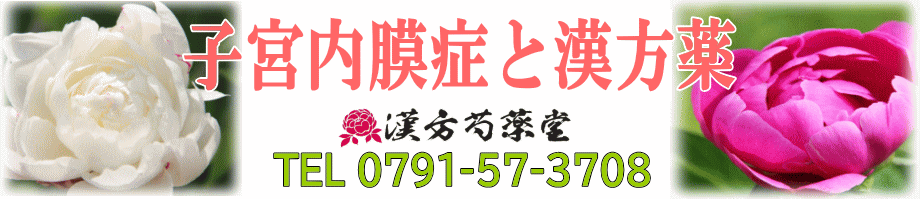 子宮内膜症と漢方薬【漢方芍薬堂】上郡町