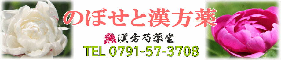 のぼせと漢方薬【漢方芍薬堂】上郡町