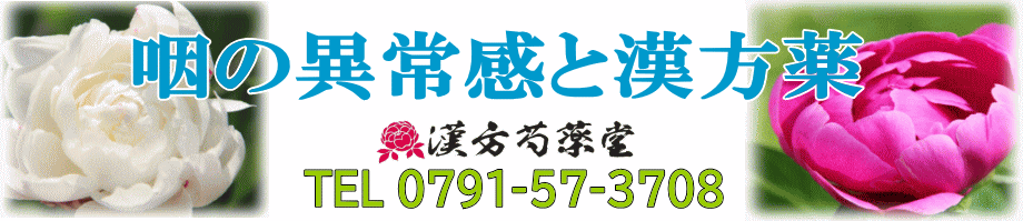 のどの異常感と漢方薬【漢方芍薬堂】上郡町
