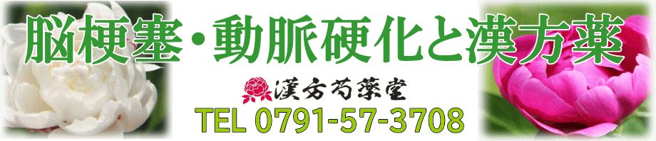 心筋梗塞・動脈硬化と漢方薬【漢方芍薬堂】上郡町
