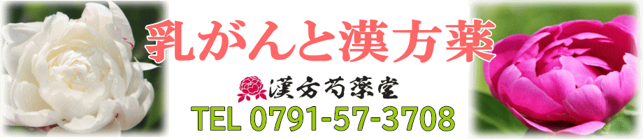 乳がんと漢方薬【漢方芍薬堂】上郡町