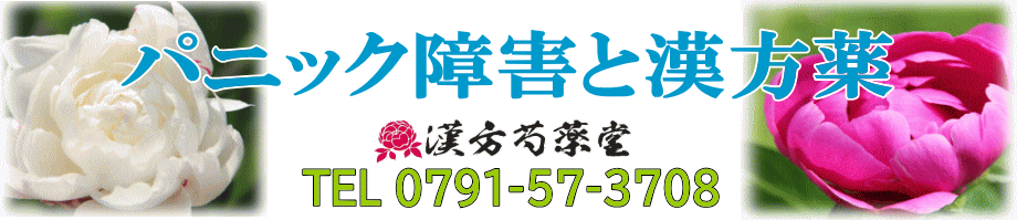 パニック障害の漢方薬【漢方芍薬堂】上郡町