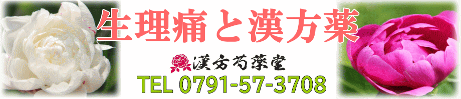 生理痛と漢方薬【漢方芍薬堂】上郡町