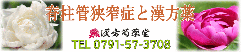 脊柱管狭窄症と漢方薬
