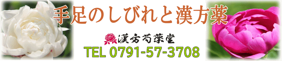 手足のしびれと漢方薬【漢方芍薬堂】上郡町