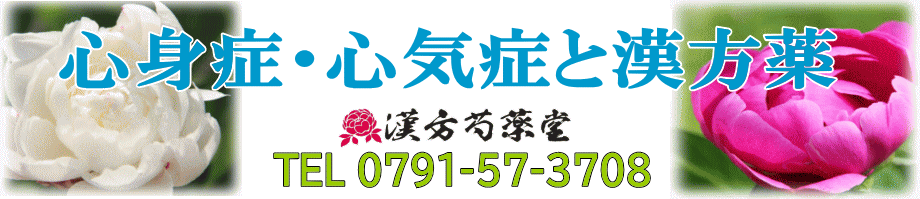 心気症・心身症と漢方薬【漢方芍薬堂】上郡町