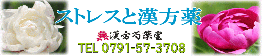 ストレスと漢方薬【漢方芍薬堂】上郡町