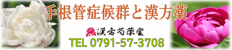 手根管症候群と漢方薬【漢方芍薬堂】上郡町
