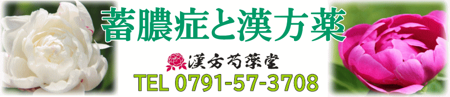 蓄膿症と漢方薬【漢方芍薬堂】上郡町