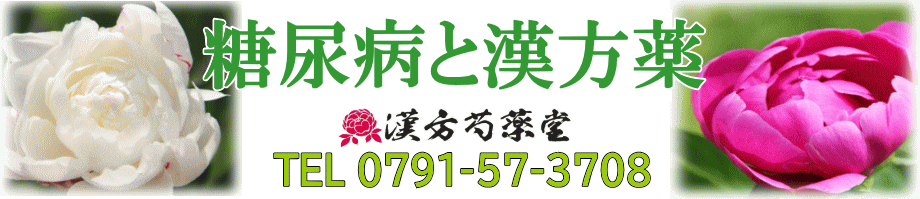 糖尿病と漢方薬【漢方芍薬堂】上郡町