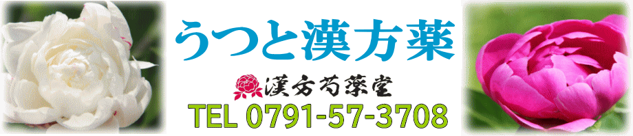 うつと漢方薬【漢方芍薬堂】上郡町