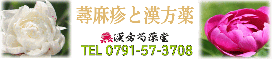 蕁麻疹と漢方薬【漢方芍薬堂】上郡町