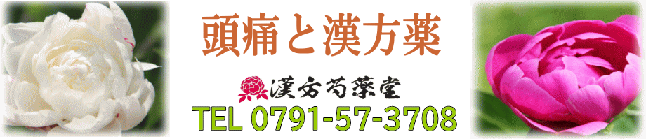 頭痛と漢方薬【漢方芍薬堂】上郡町