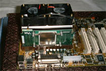 P125_2.jpg (18524 oCg)