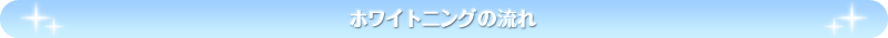 �z���C�g�j���O�̗���