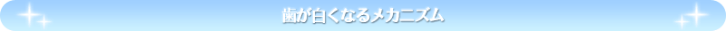 ���������Ȃ郁�J�j�Y��