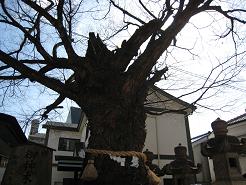 ��_��
����S�N