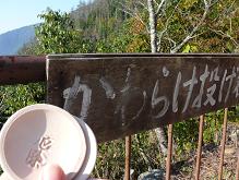 炯