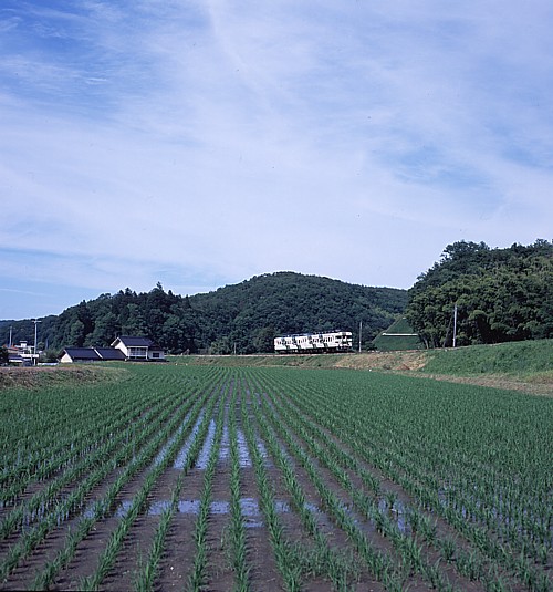 ݂悵5