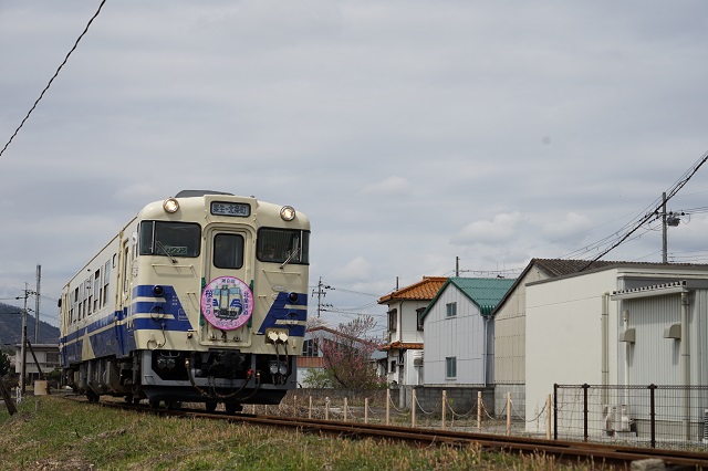 621