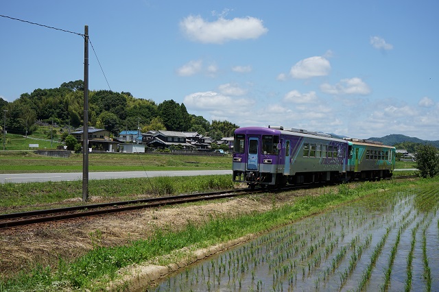 620