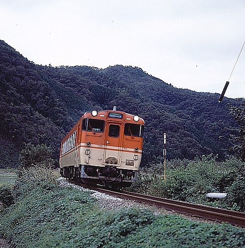 3836D