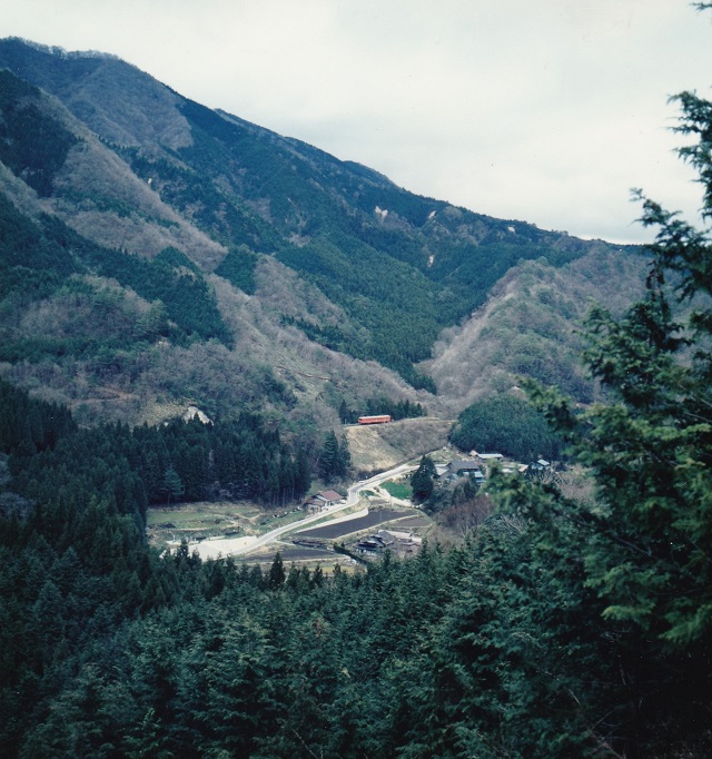 tcE
