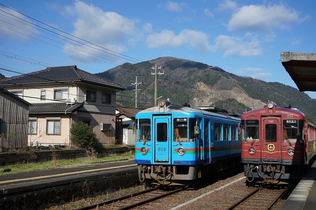 229D