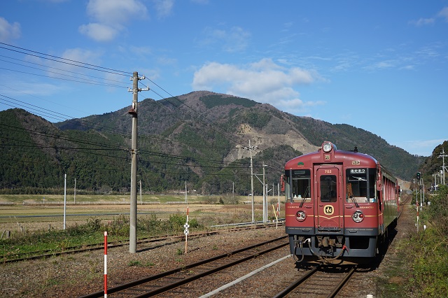 8771D