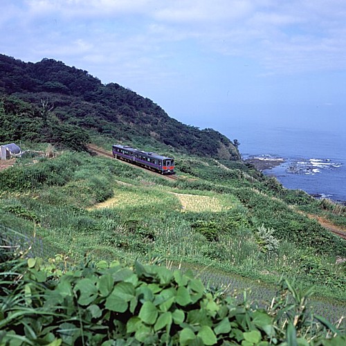 3451D