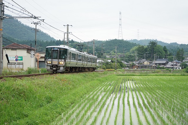 1135M