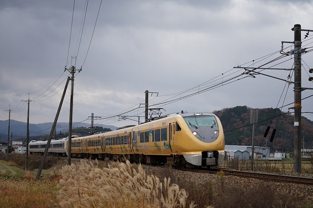 5005M