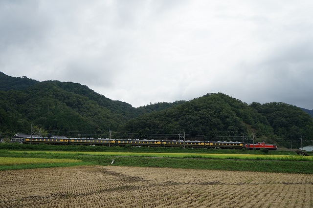 5005M
