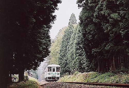 702D