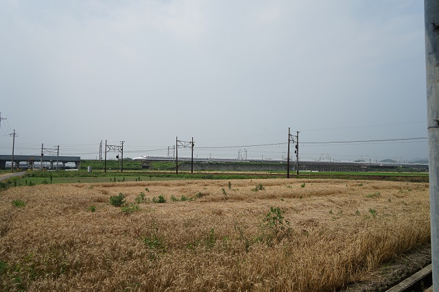 94A