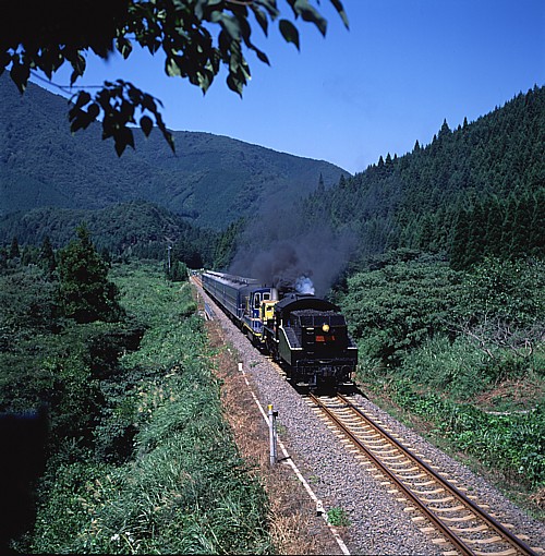 12D