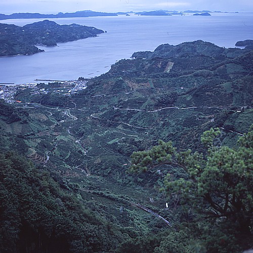 宇和海18号