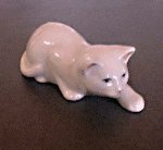 cat-copen1.jpg (4667 oCg)