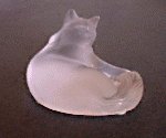 cat-lariq.jpg (4185 oCg)