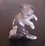 cat-liadro.jpg (5391 oCg)