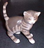 cat-mauico2.jpg (7630 oCg)