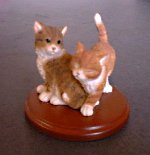 cat-usa1.jpg (5478 oCg)