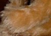 mohair-s.jpg (2473 oCg)