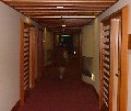roka.jpg (4515 バイト)