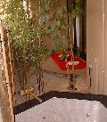 roten-3.jpg (7556 バイト)