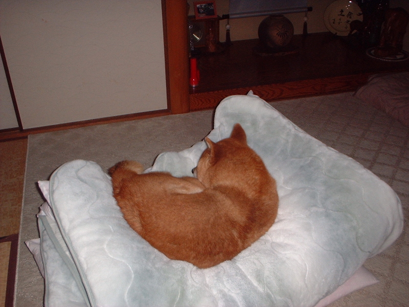 2005/03/19Be