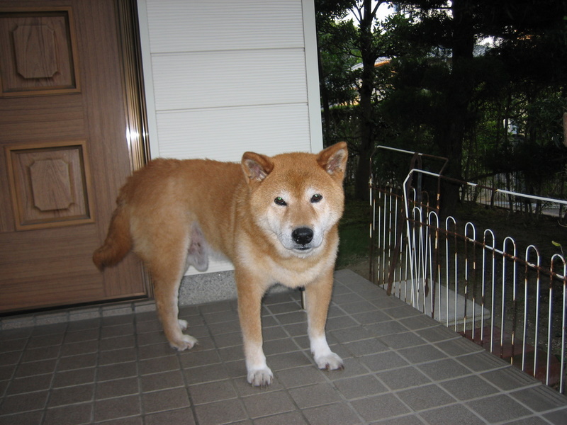 2007/08/14Be