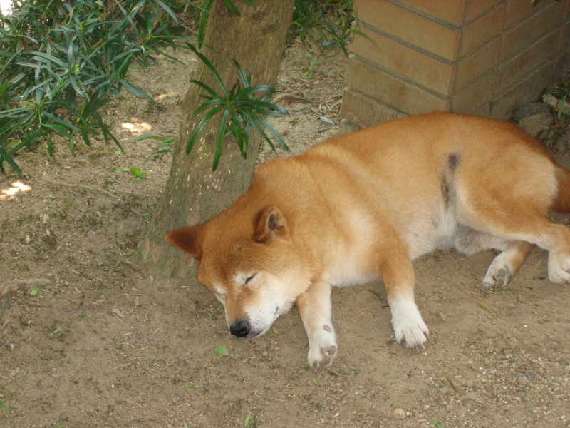 2007/08/15Be