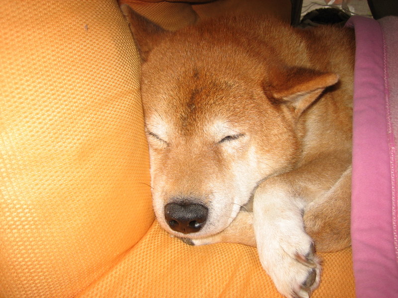2006/12/03Be