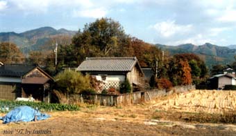sawa